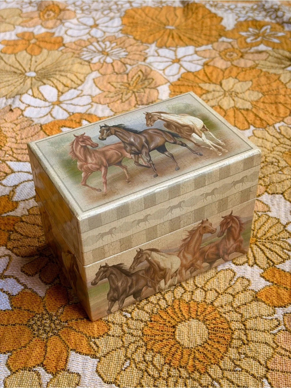 🐎🌾✨ Vintage Y2K Horse Recipe Box ✨🌾🐎